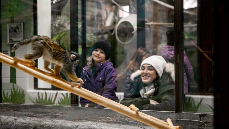 Visitors enjoying winter at the zoo