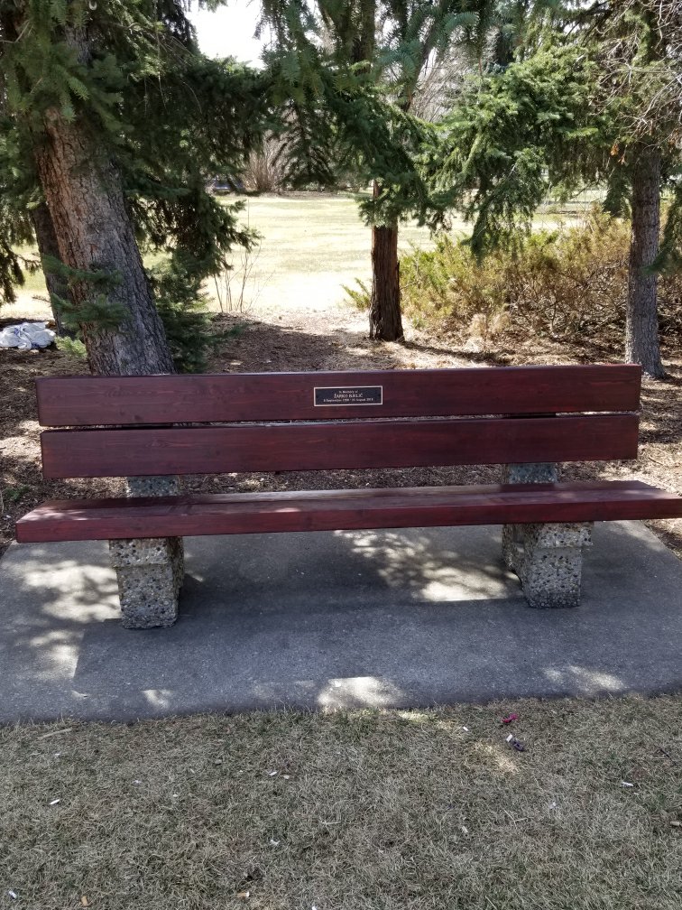 Aggregate Bench in a park