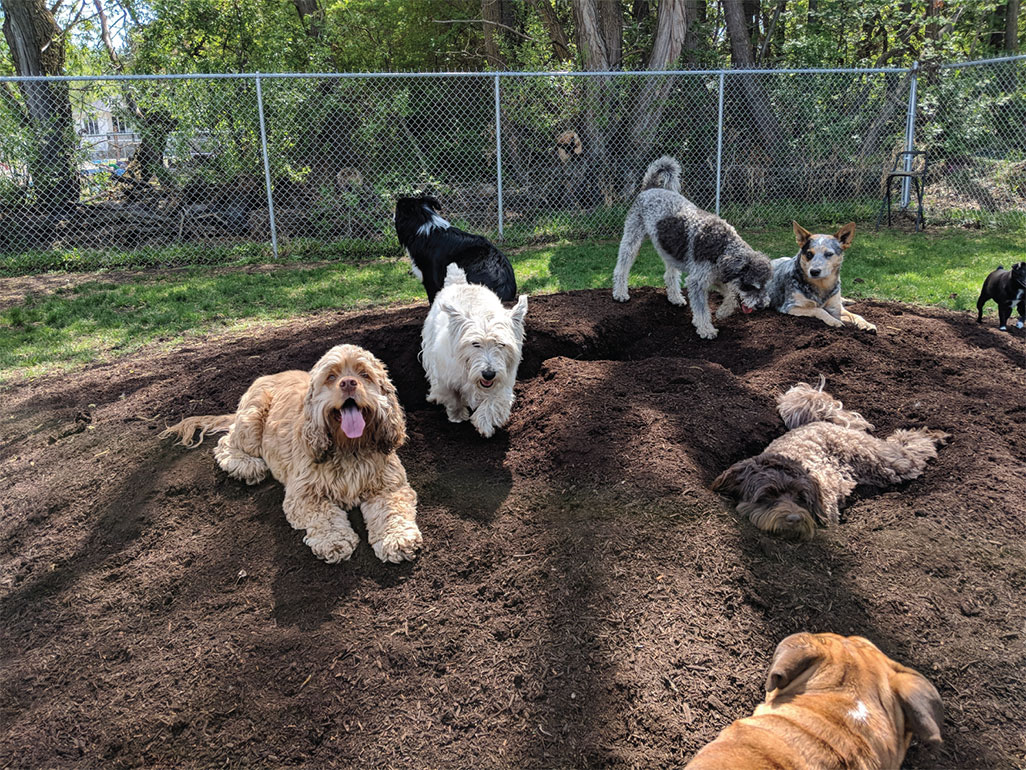 City of Edmonton Compost Sales City of Edmonton