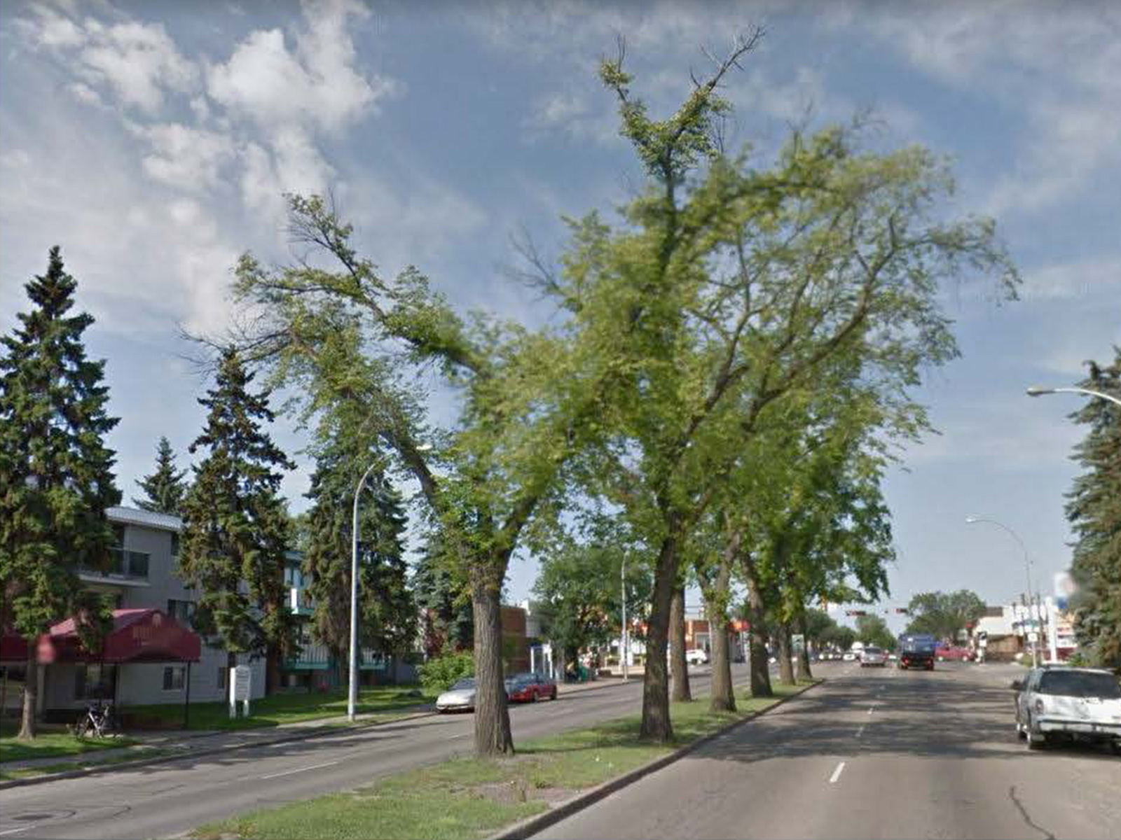 Median trees help calm traffic speeds in urban settings