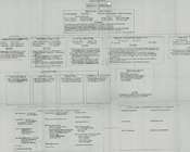 Civic Centennial Committee Organizational Chart
