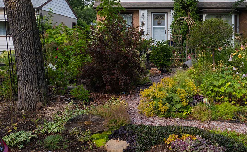 Residence with natural front yard