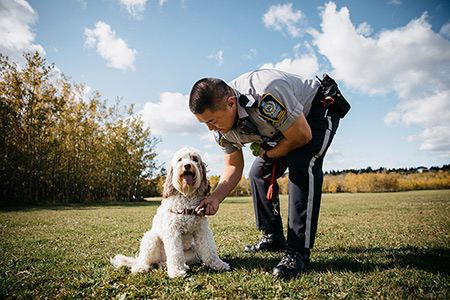 enforcement officer with dog