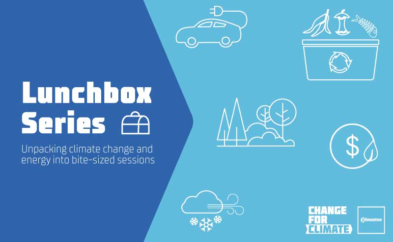 Lunchbox Series and Icons of climate actions