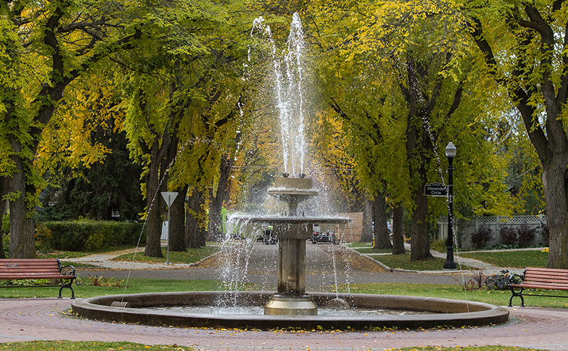 fountain with trees in background