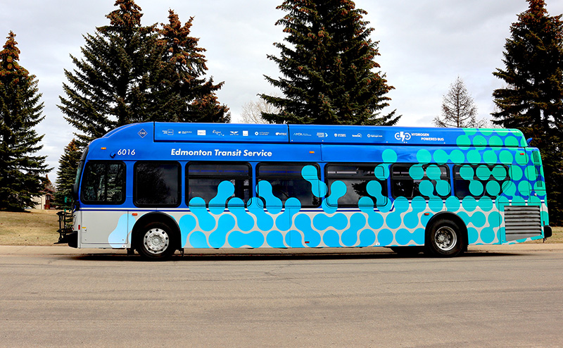 Hydrogen and Electric Buses