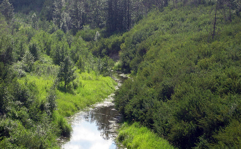 Photo of a ravine.