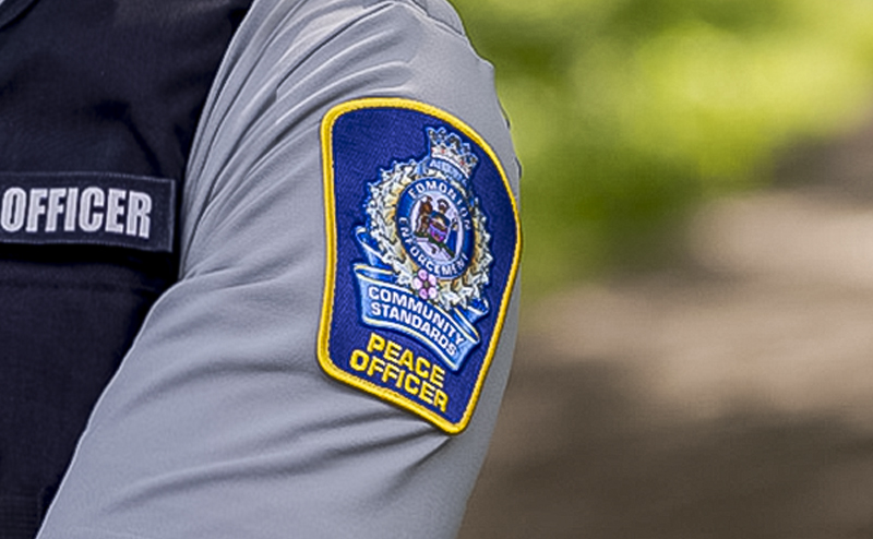 Peace Officer feature Image