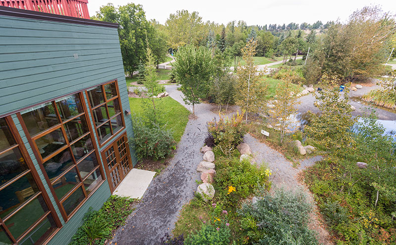 Naturalization at John Janzen