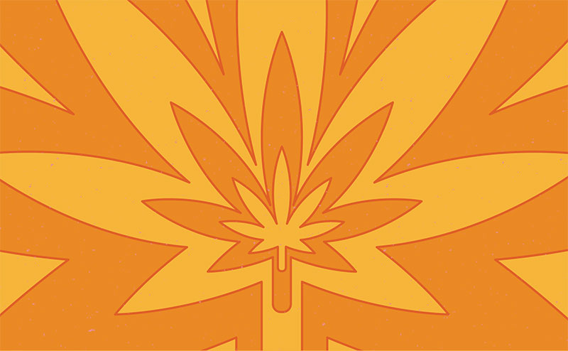 cannabis leaf image