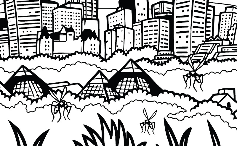 mosquitos coloring page