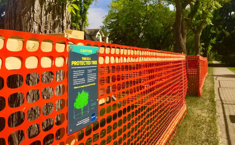 Construction barrier to protect trees
