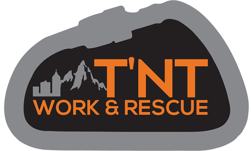 TNT logo