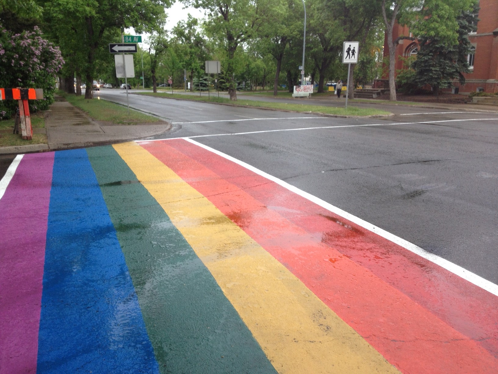 Rainbow crosswalks 104 St and 84 Ave (looking north)