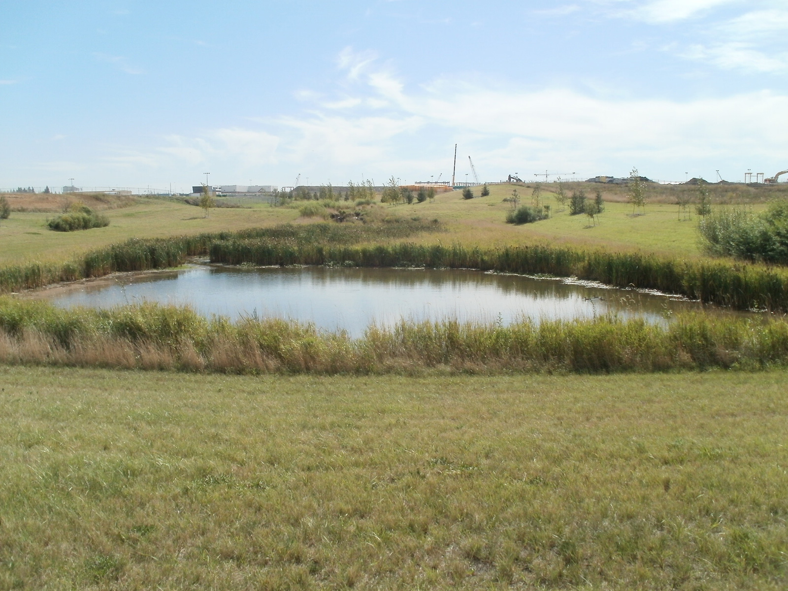 A Stormwater Facility at normal water level