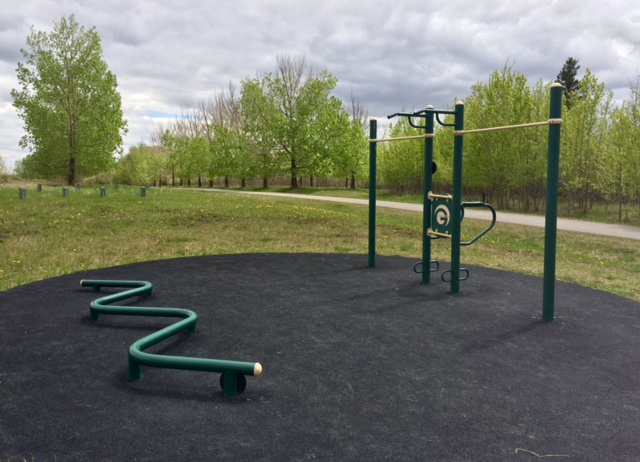Bars and weight machines at Blackmud Fitness Park