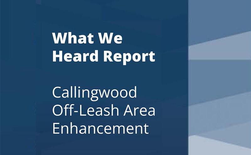 Cover of Callingwood Off-Leash Area Enhancement What We Heard Report