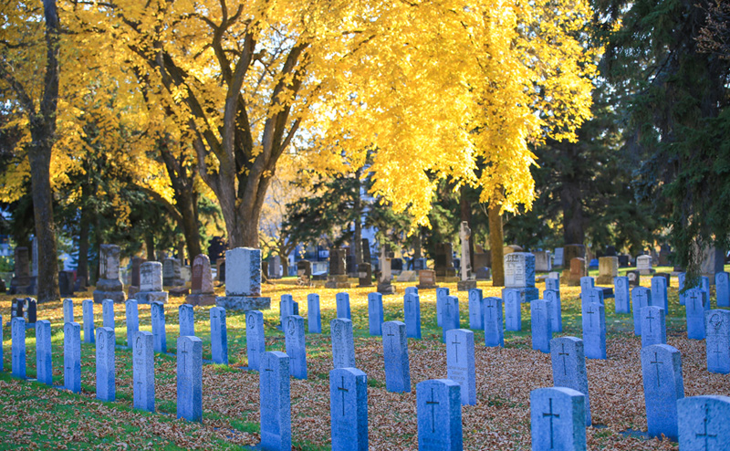 Grave markers in Edmonton Cemetery