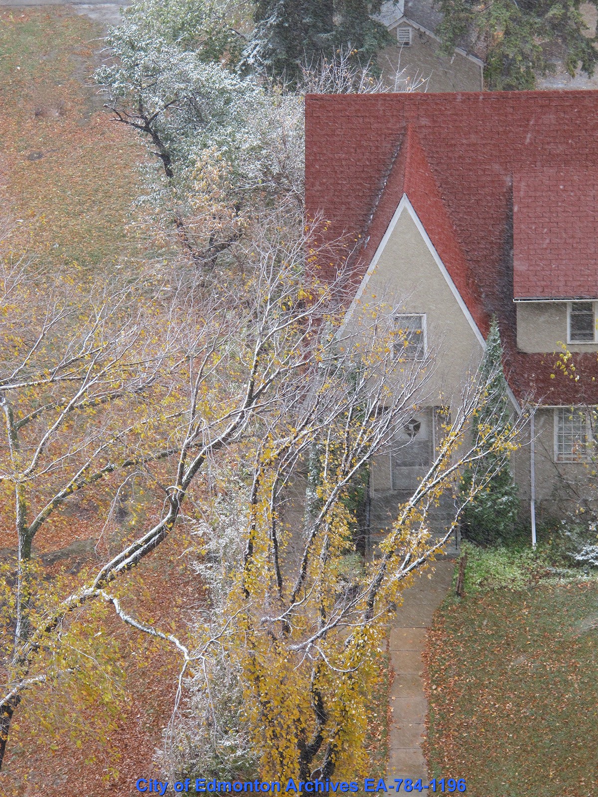 A house with a red roof and semi-bare trees in late fall.