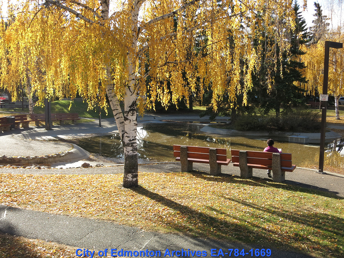 Park benches beside a tree with yellow leaves in Autumn.