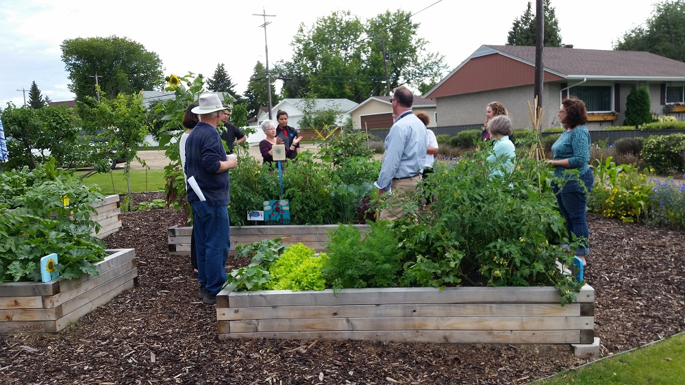 PopUp Community Gardens Program City of Edmonton