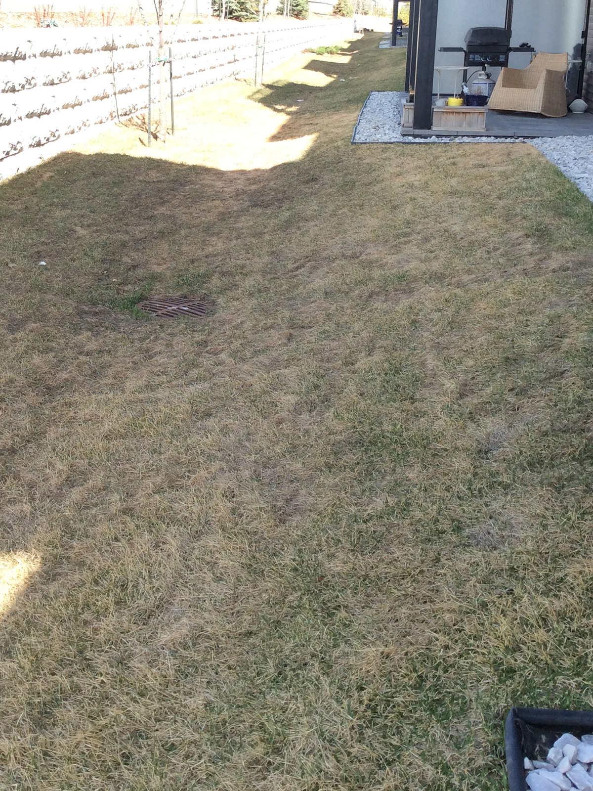 Grass Swale at an Apartment Sloped to Catch Basin