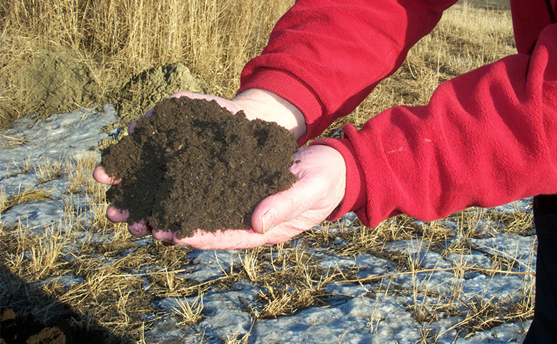 hands with compost
