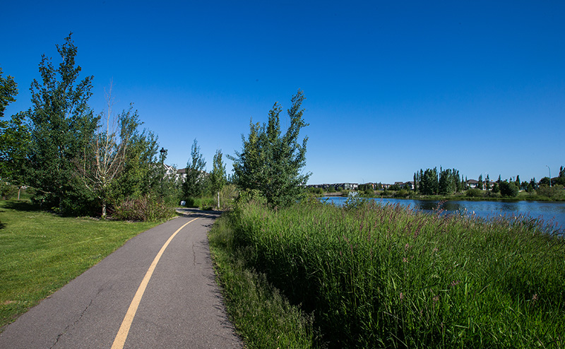 Naturalized area with boulevard trees