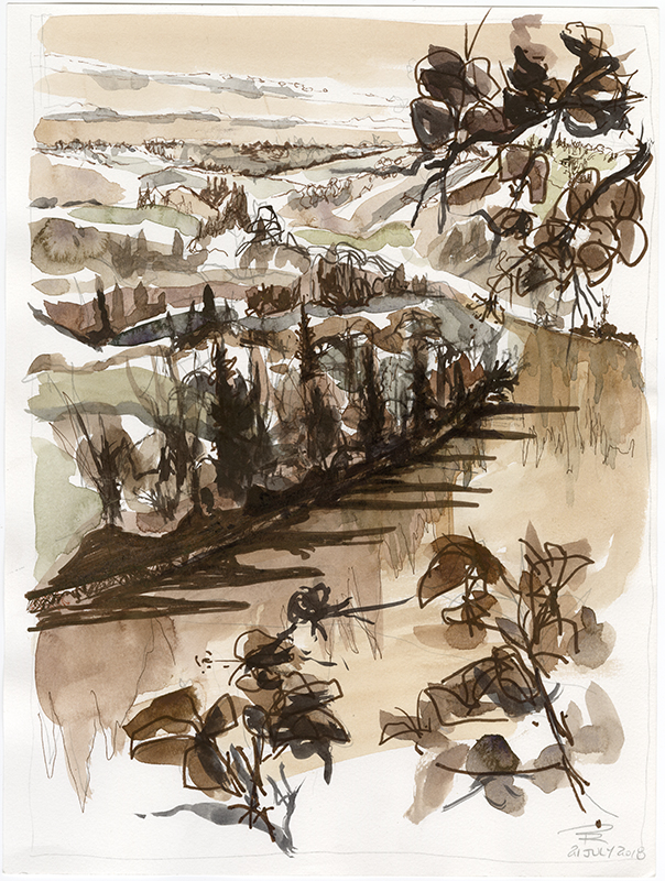 A brown sketch of the North Saskatchewan River, and a forest beside it.
