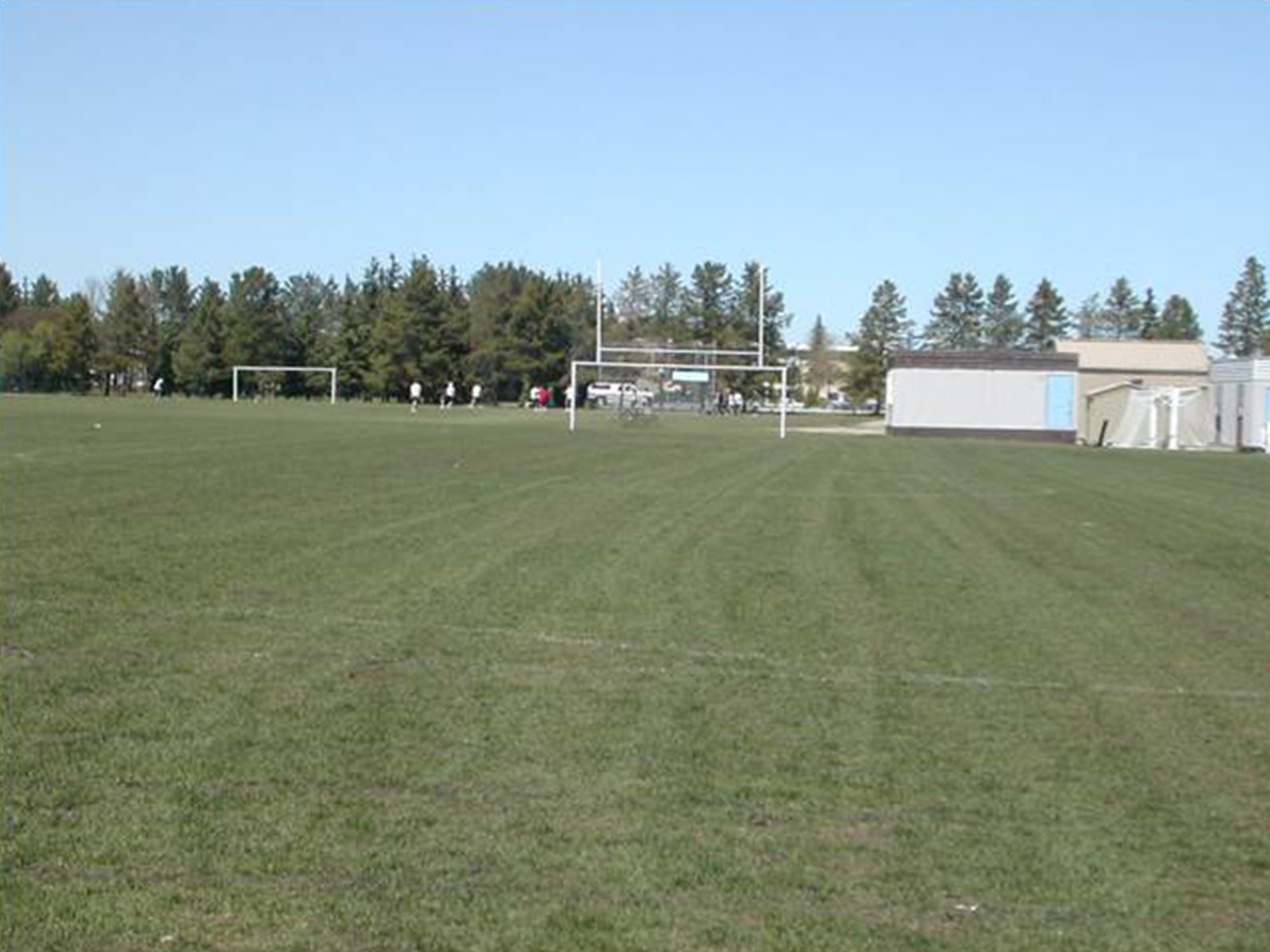 Sports field after Second Nature application