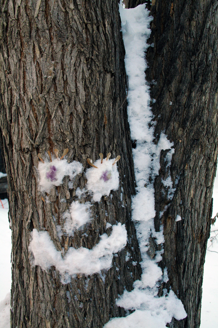 Tree With Snow Face