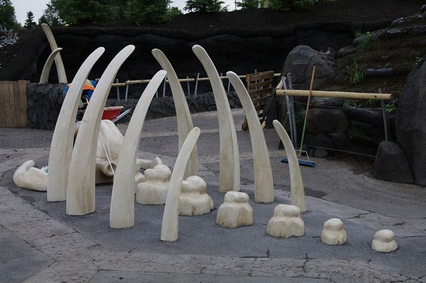 New Whale Bone Play Structure