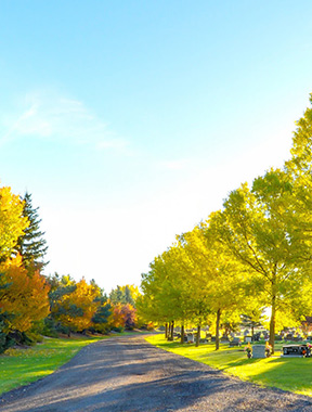 northern lights cemetery entrance