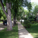 sidewalk in a residential area