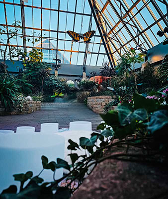 Interior of one of the Muttart pyramids