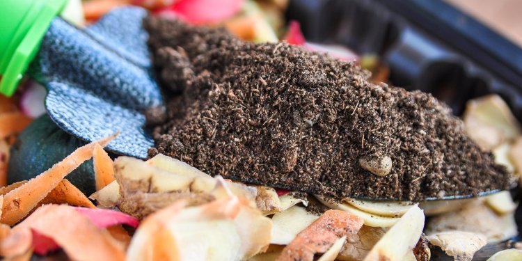 mulch