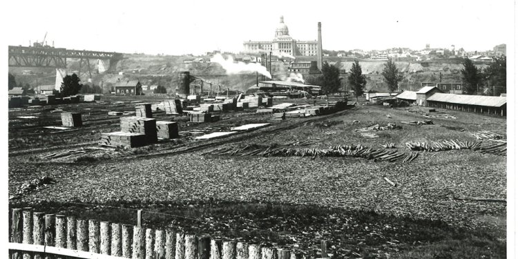 sawmill and lumberyard
