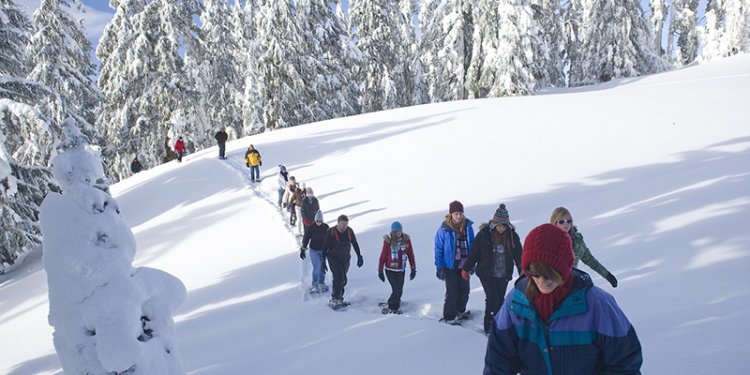 group of people snowshoeing