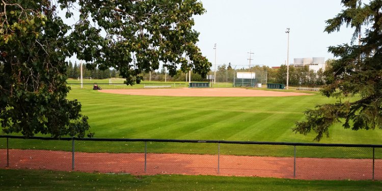 sports field