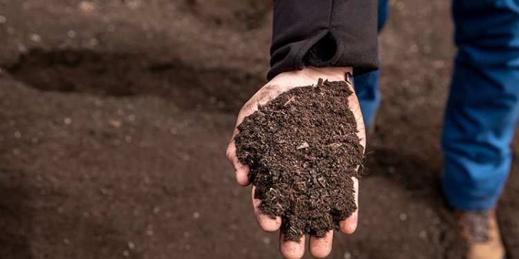hand holding compost