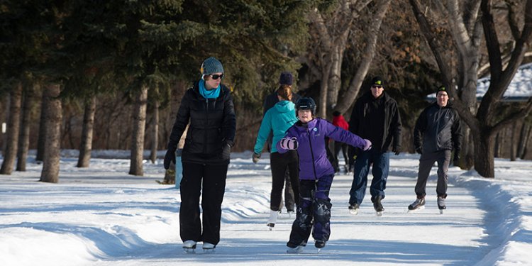 persons ice skating on trial