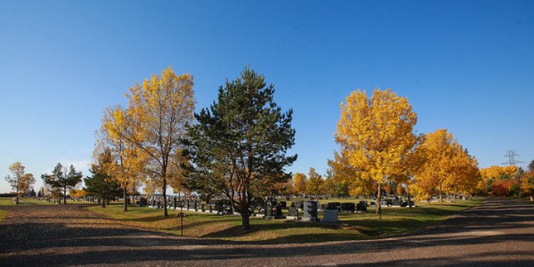 northern lights cemetery