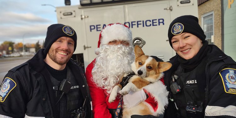peace officers with dog