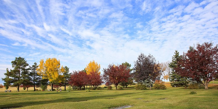 south haven cemetery entrance