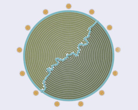 beaded logo