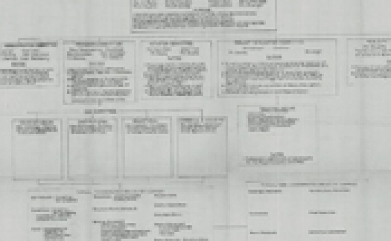 Civic Centennial Committee Organizational Chart