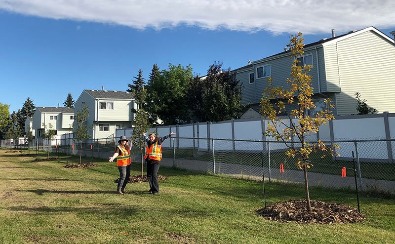 Two people celebrating newly planted trees