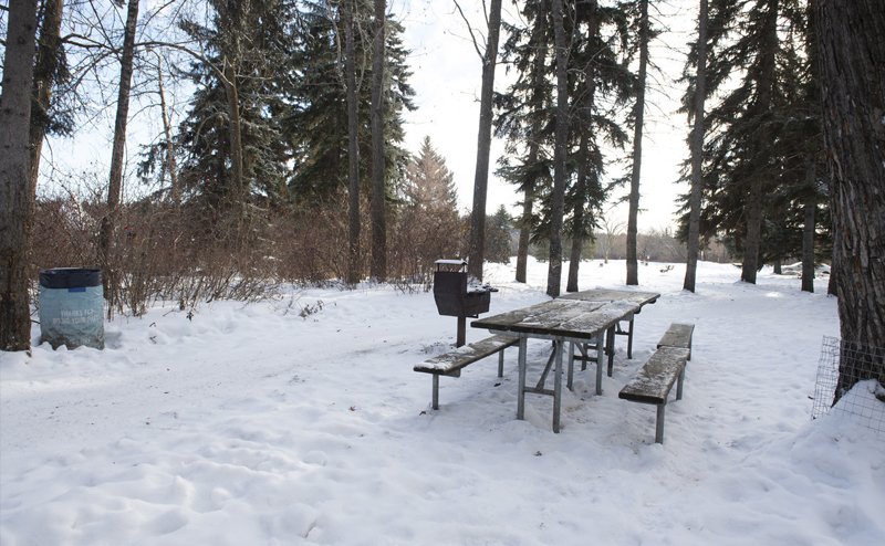 A picnic bench with a nearby barbecue in winter.