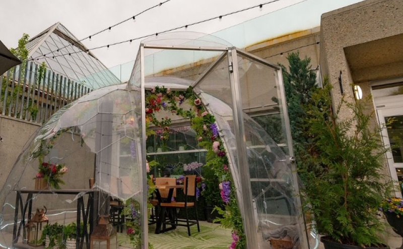 dome with netting in garden with flowers and plants