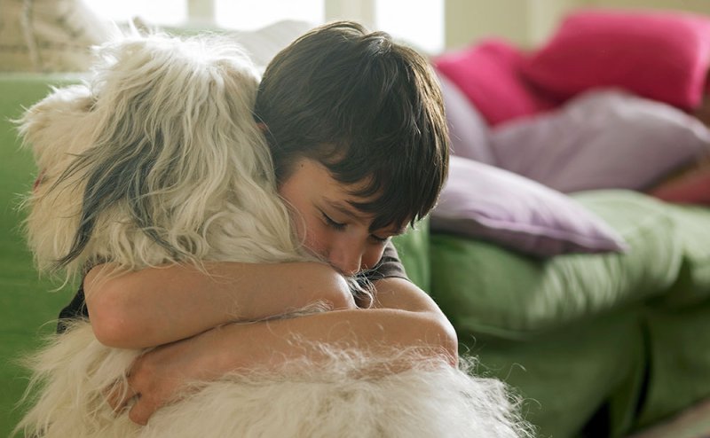 kid hugging dog